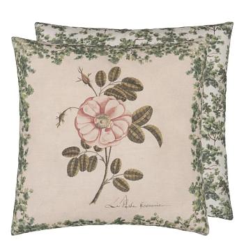 CCJD5087, La Rose, Rose, John Derian