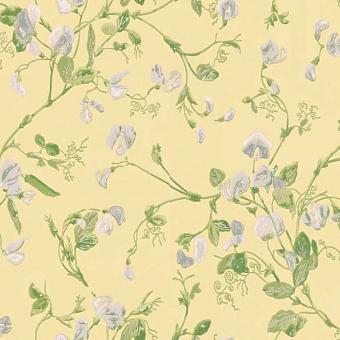 Флизелиновые обои Cole & Son 100/6029 коллекции Botanical Botanica